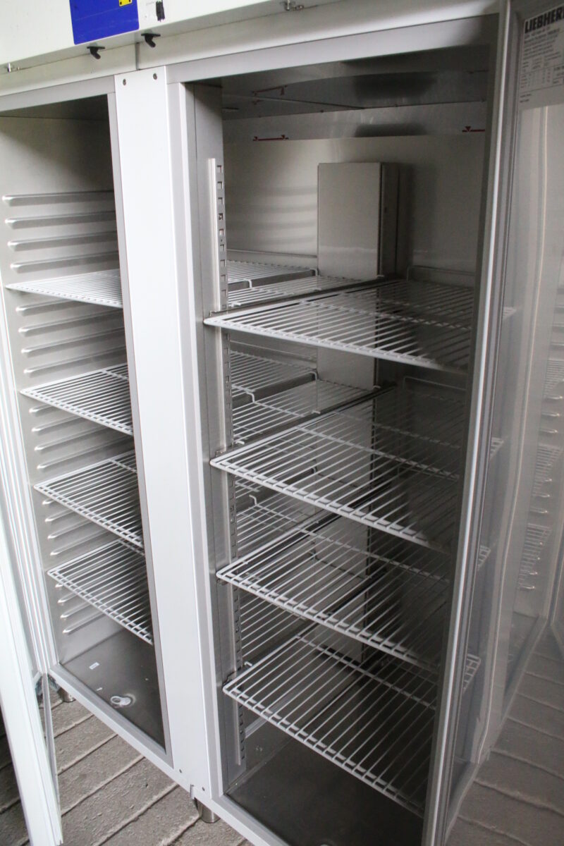 Liebherr GGPv 1420 Gefriergerät ProfiLine Gastro Gefrierschrank Tiefkühlgerät – Bild 2